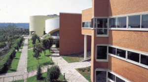 msang5.png
